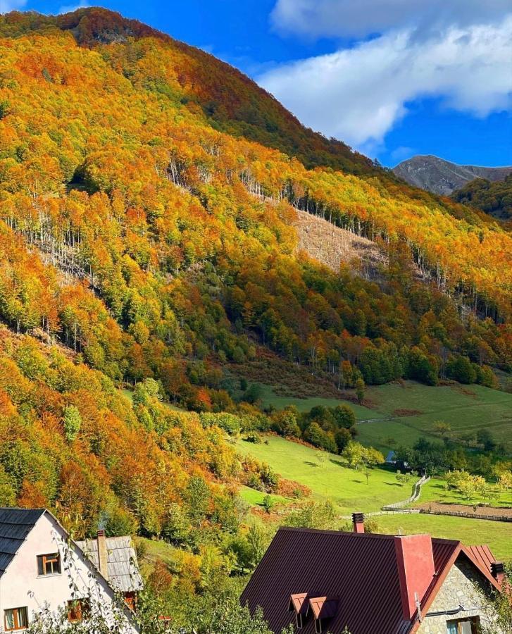 Guesthouse Alpini Lepushe Ngoại thất bức ảnh